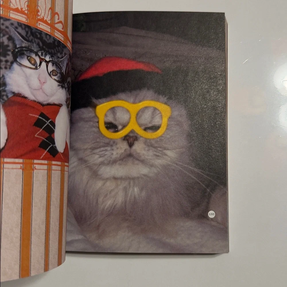 Chronicle Books: More Stuff on My Cat - Vibrant Cover